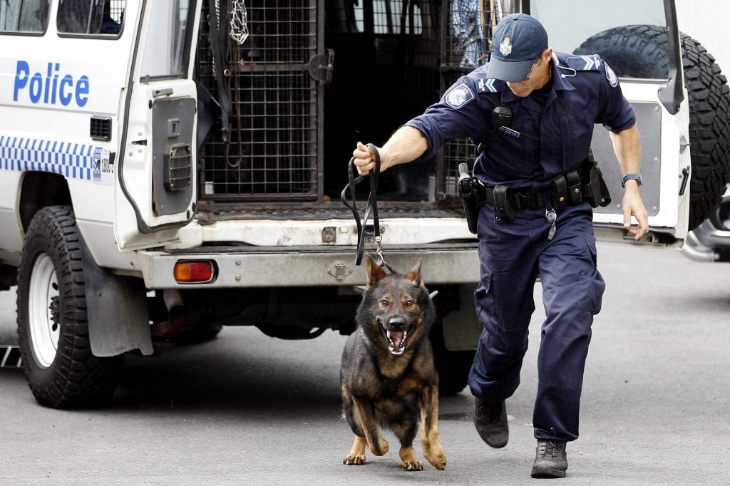 K9 Apprehends Man with Stolen Bike in Riverside