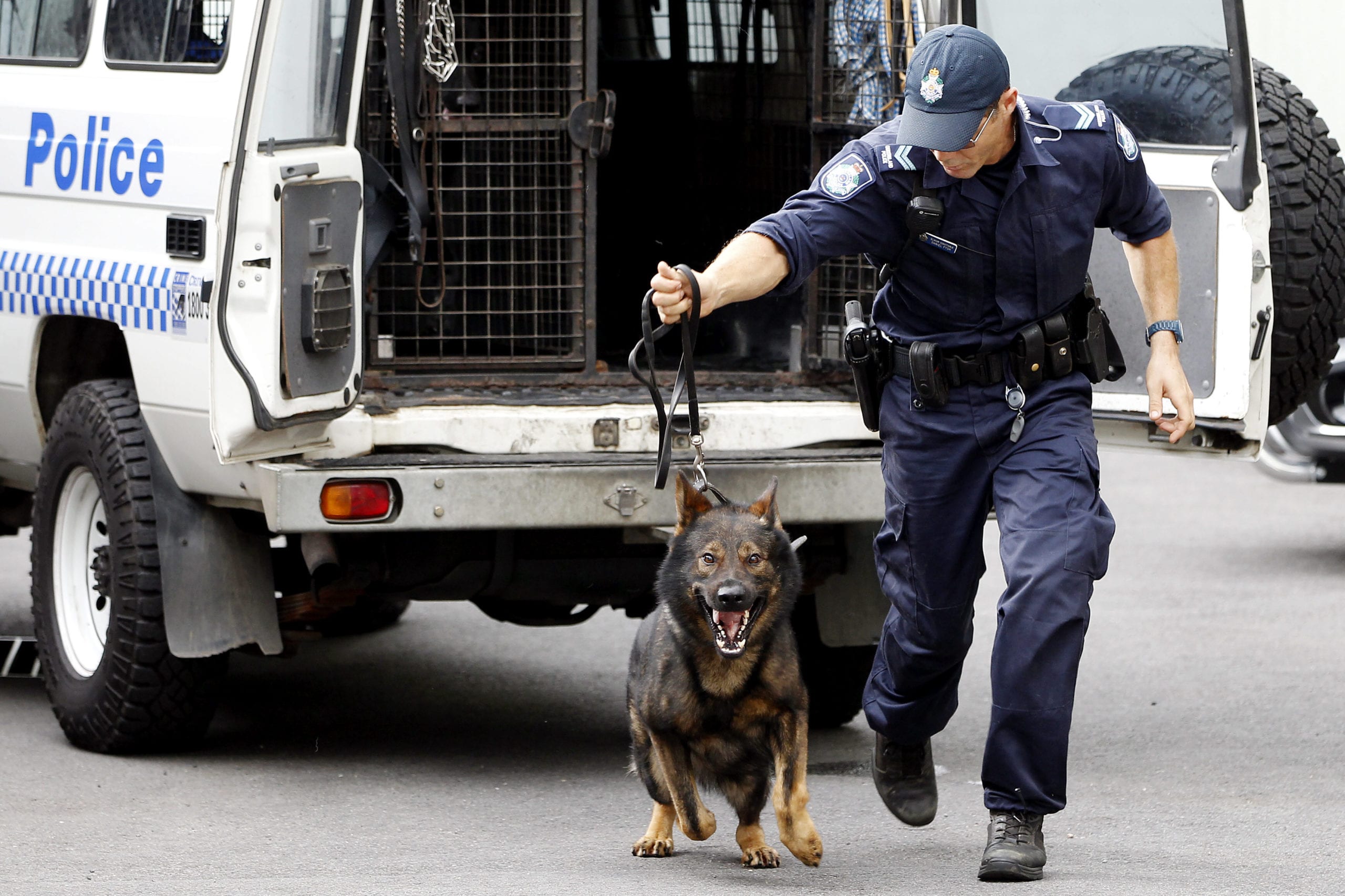 K9 Apprehends Man with Stolen Bike in Riverside